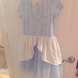 Taylor Joelle Cinderella Disney Dress